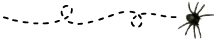 Araignée