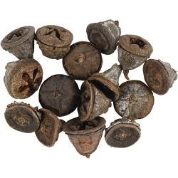 Larikskegels