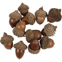 Eikels