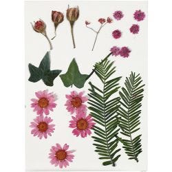 Gedroogde bloemen en bladeren