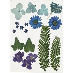 Gedroogde bloemen en bladeren