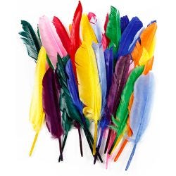 Plumes
