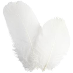 Plumes d'oies - rond