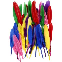 Plumes