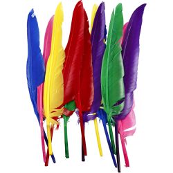 Plumes