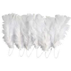 Plumes, L : 11-17 cm, blanc, 18 boule/ 1 Pq.