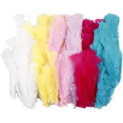 Plumes