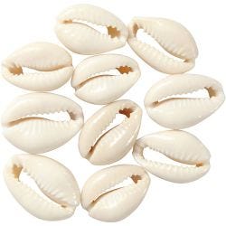 Schelpen, L: 20 mm, naturel, 12 stuk/ 1 doos