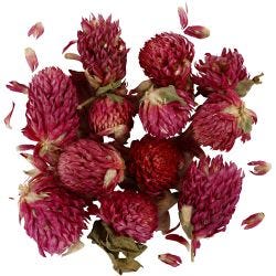 Gedroogde Bloemen