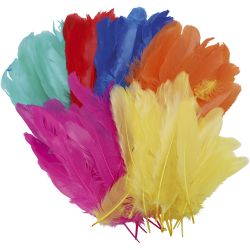 Plumes