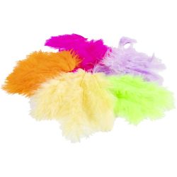 Plumes de Duvet