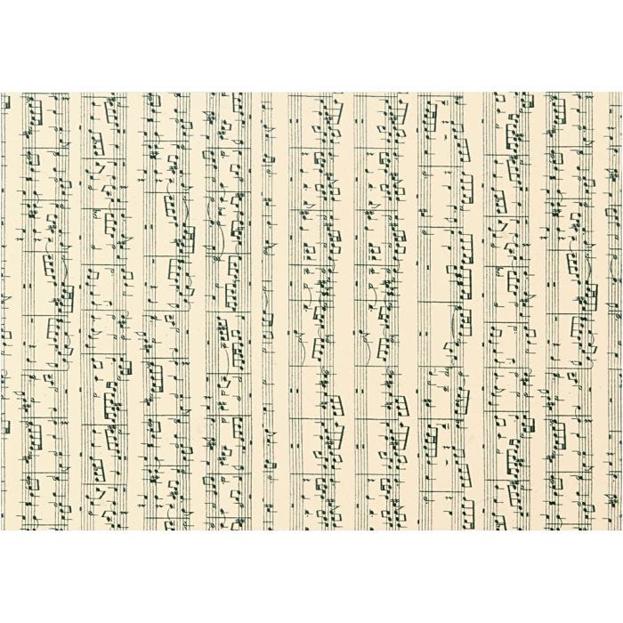 Papier cartonné, notes de musique, A4, feuille 210x297 mm, 180 gr, 10 flles/ 1 Pq.