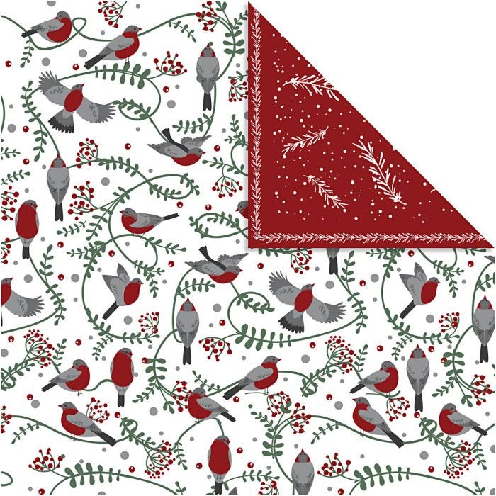 Papier Design, oiseaux et branches, feuille 30,5x30,5 cm, 180 gr, 5 flles/ 1 Pq.