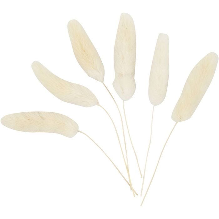Hazenstaart gras, L: 3-7 cm, 6 stuk/ 1 doos
