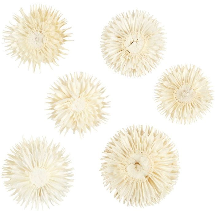 Têtes de Fleurs Séchées, d 3-5 cm, 6 pièces/ 1 Pq.