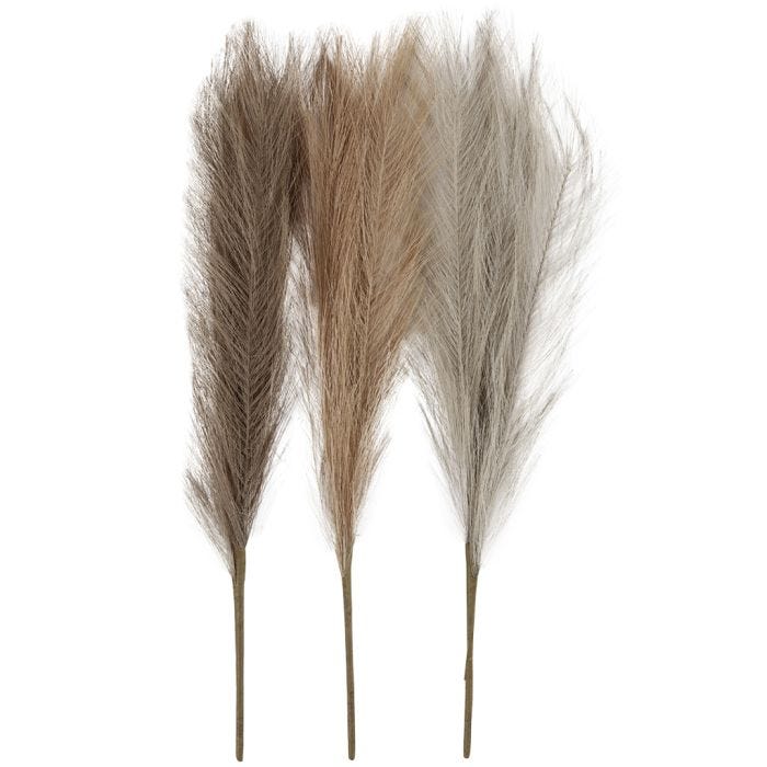 Pampasgras, L: 50 cm, licht beige, lichtbruin, lichtgrijs, 3 stuk/ 1 bol