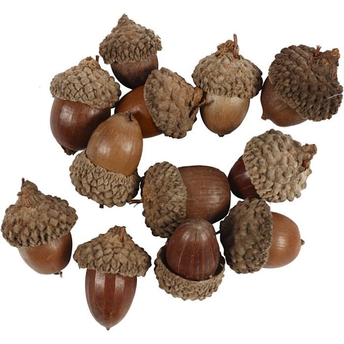 Gland, 12 pièces/ 1 Pq.