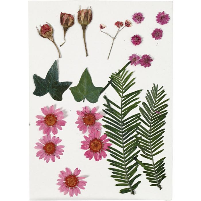 Gedroogde bloemen en bladeren, lichtrood, 1 doos