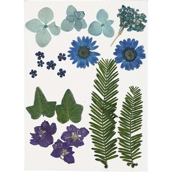 Gedroogde bloemen en bladeren, blauw, 1 doos