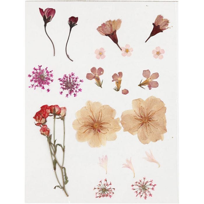 Gedroogde bloemen en bladeren, lichtroze, 1 doos