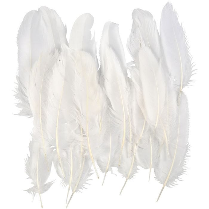 Plumes d'Oie Blanches, blanc, 350 pièces/ 1 Pq.