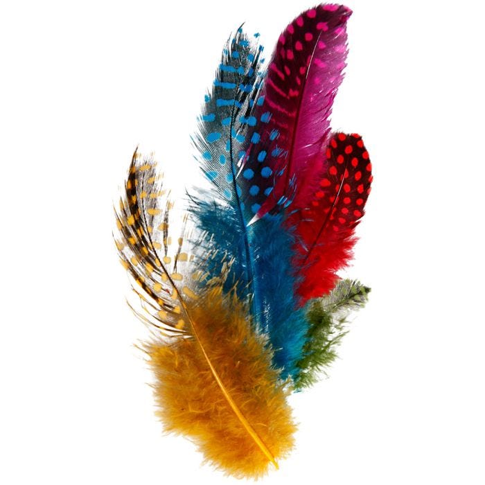 Plumes de pintade, ass. de couleurs, 3 gr/ 1 Pq.