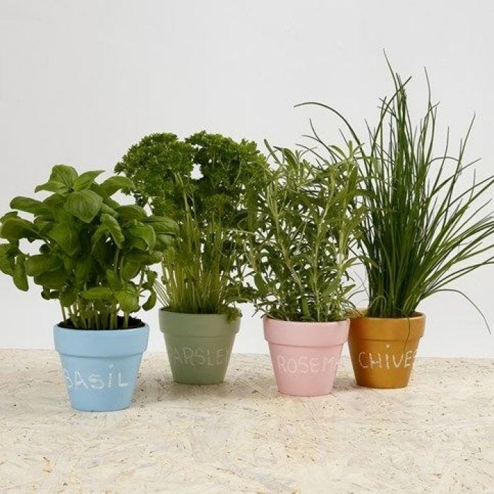 Pots à fleurs décorés pour épices