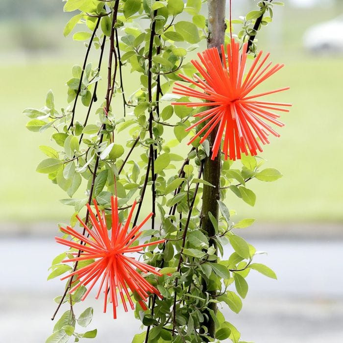 Pompoms gemaakt van constructie rietjes