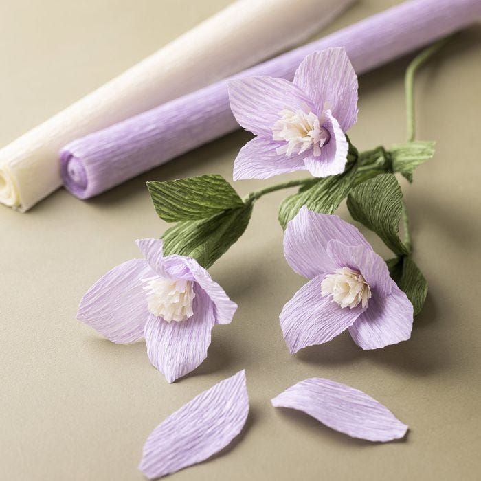 Clematis van crêpepapier