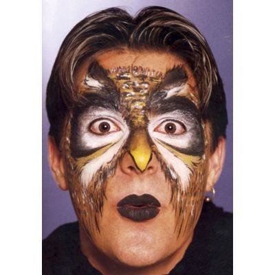 Basic animal colour Face Painting Set