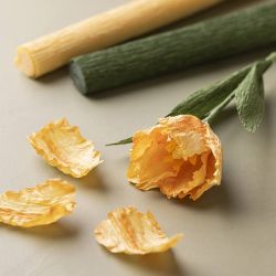 Papier Crépon